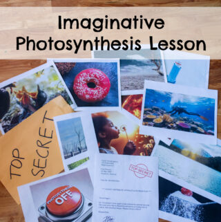 Imaginative Photosynthesis Lesson