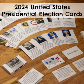 顶级metart裸体欣赏 Presidential Election 顶级欧美熟妇xx